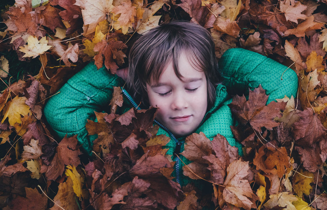 Image of child asleep in pile of leaves